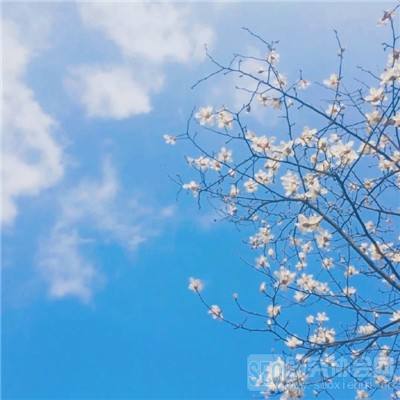 博鱼·中国体育官网